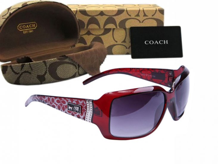 Coach Sunglasses 8010 | Women